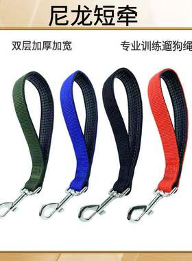 遛狗手柄宠物牵引绳训练专用比赛金毛边牧小中大型犬P绳p链牵狗绳