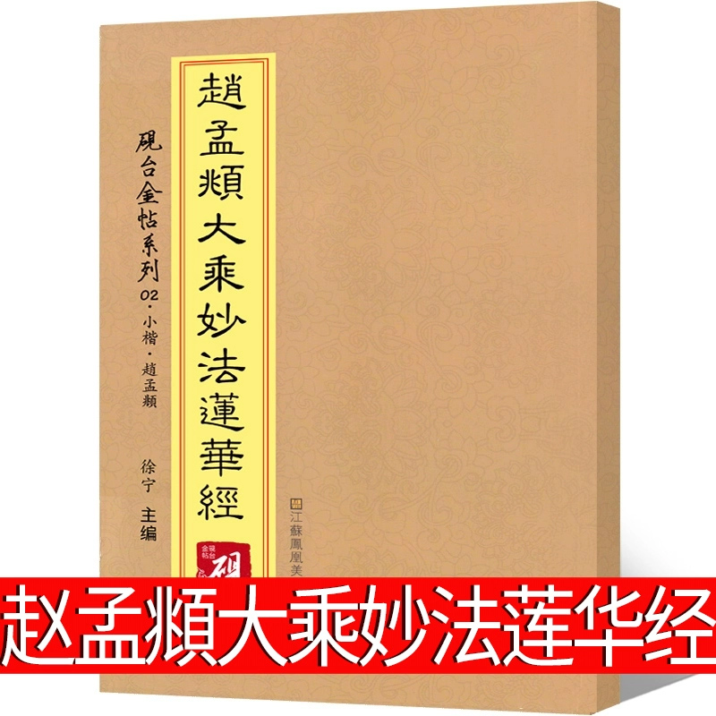 赵孟頫大乘妙法莲华经 赵孟俯临摹字帖小楷 楷书字帖毛笔书法全集教程合集书法集正版 江苏凤凰美术出版社