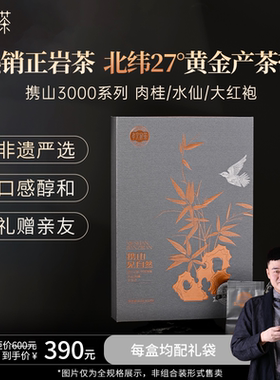 孝文家茶携山开运纳福3000肉桂岩茶武夷乌龙茶叶12泡送礼自饮