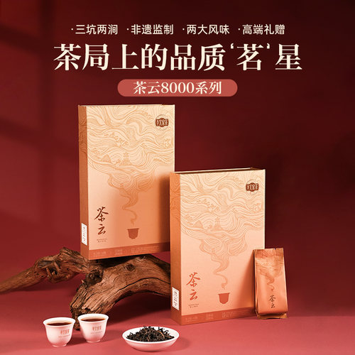 孝文家茶武夷岩茶肉桂茶云坑涧高端茶叶送礼盒装送老师水仙乌龙茶