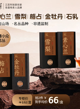 孝文家茶雪梨石乳梅占金牡丹品鉴集录武夷岩茶2泡装