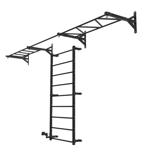 东际 室内壁挂云梯攀爬架 TRXD综合力量训练架 墙体单杠引体向上