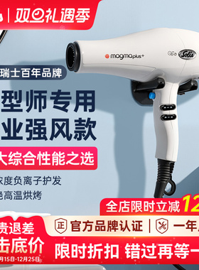 Solis/索利斯吹风机理发店大风力发型师专用发廊负离子268/261