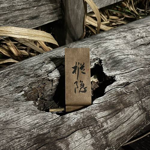 枞隐品鉴装正岩佛国岩老枞水仙
