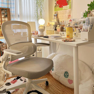 电脑椅办公家用人体工学习久坐椅子学生升降座椅舒适护腰书桌转椅