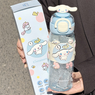 三丽鸥可爱儿童双饮tritan塑料杯子女生高颜值夏日上学便携吸管杯