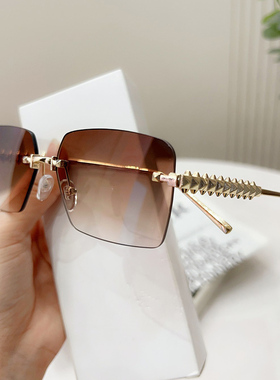 墨镜女高级感太阳镜夏海边圆脸拍照网红眼镜2025新款防紫外线