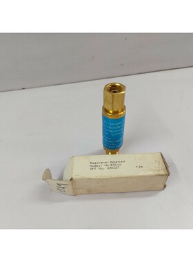 GSI GAS Safety VU/RTC-0 Arrestore Di Ritorno Flashback P Max