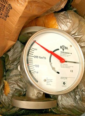 Yokogawa Rotameter RAMC05- A1SS-71M5-T90NNN/K1/P6/W4A/IE1 DN
