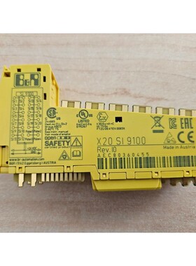 B&R X20SI9100 X20 SI 9100 REV I0 NEW