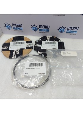 Gardner Denver 009501 98477 1049 Ensemble De Segments De Pis