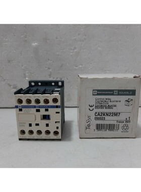 Telemecanique CA2KN22M7 Control Relay
