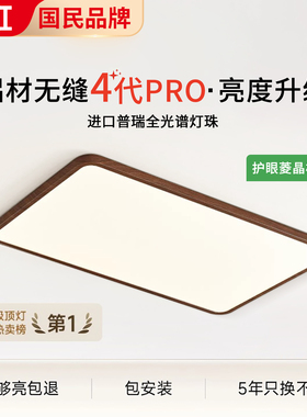 「栖木客厅灯」中古风客厅灯护眼吸顶灯侘寂风复古大厅灯客厅主灯