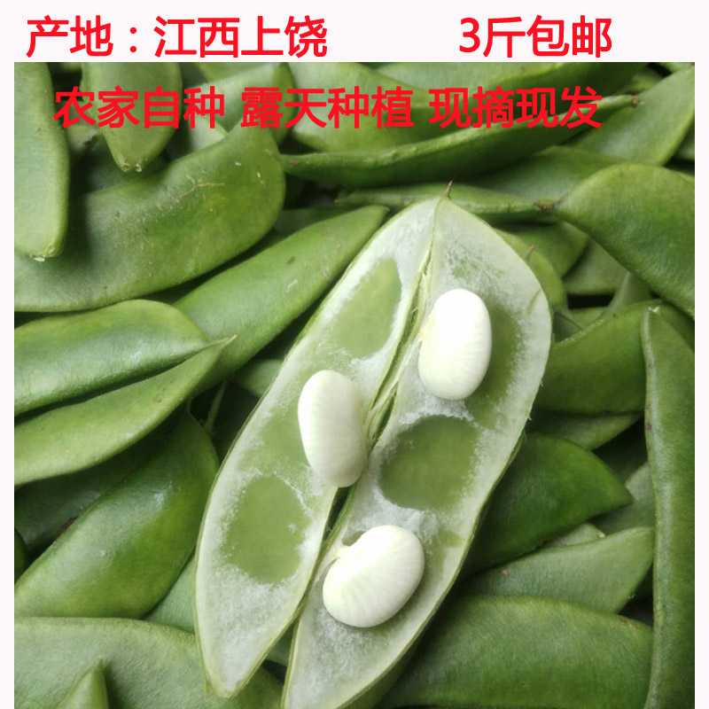 新鲜白玉豆农家蔬菜江西特产三清白扁豆白芸豆3斤5斤包邮产地直销