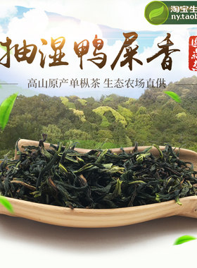 潮州凤凰单枞茶新茶高香银花香