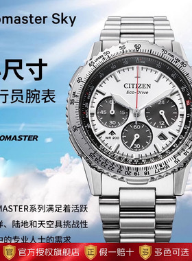 西铁城光动能机芯PROMASTER系列多功能不锈钢商务休闲男表CA4660