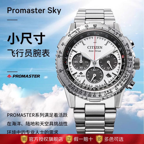 西铁城光动能机芯PROMASTER系列多功能不锈钢商务休闲男表CA4660