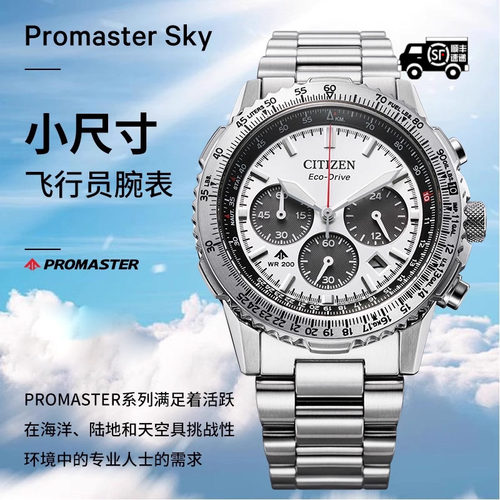 西铁城光动能机芯PROMASTER系列多功能不锈钢商务休闲男表CA4660