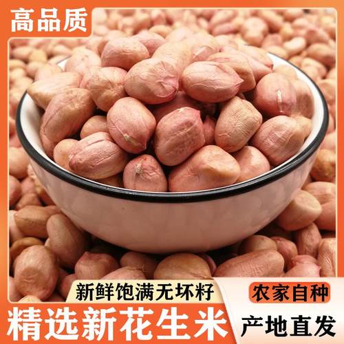 2025年新上市花生米新鲜大颗粒白沙生花生米仁新货河南农家自产