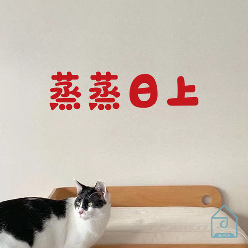 蒸蒸日上新年春节喜庆祝福语镜子玻璃玄关卧室门红色贴纸装饰布置