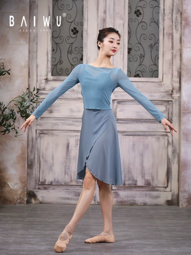 Baiwu Классическая танцевальная сеть танцевать танце