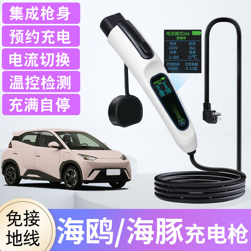 比亚迪海鸥/海豚随车充电枪7KW