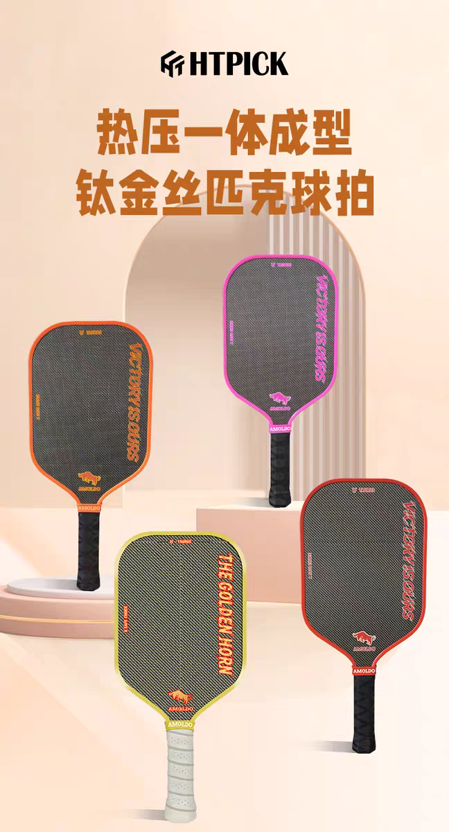 HTPICK碳纤维磨砂钛金丝匹克球拍