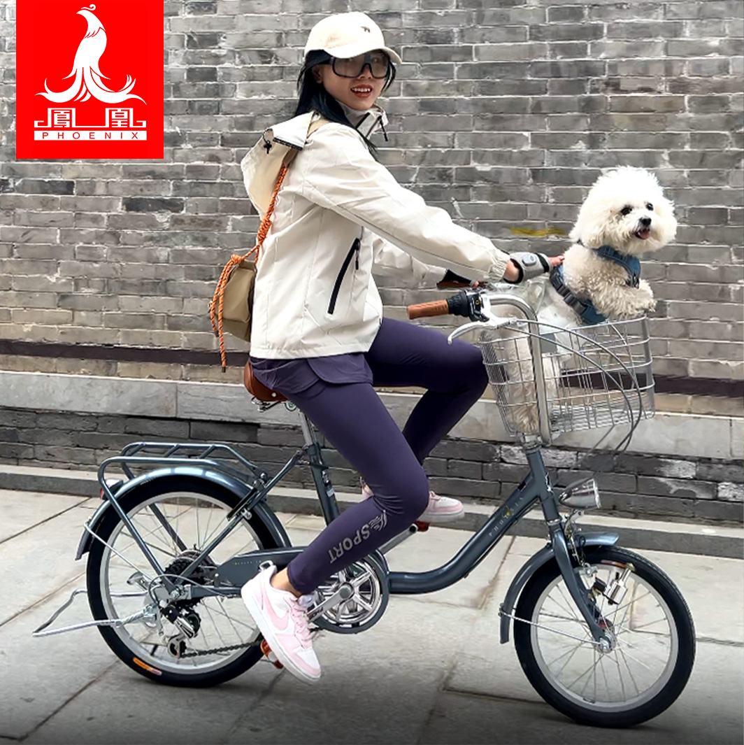 凤凰成人女士自行车网红通勤日式复古大小轮女生宠物代步变速单车