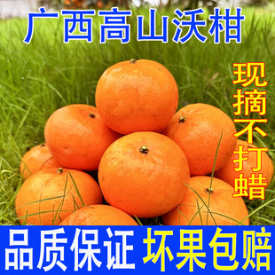 广西象州沃柑10斤新鲜水果当季整箱一级大果特级蜜柑桔子砂糖橘子