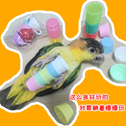 鹦鹉发泄解闷啃咬觅食找吃的玩具