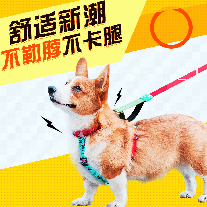 泰迪牵引绳狗狗牵引绳百爱吉