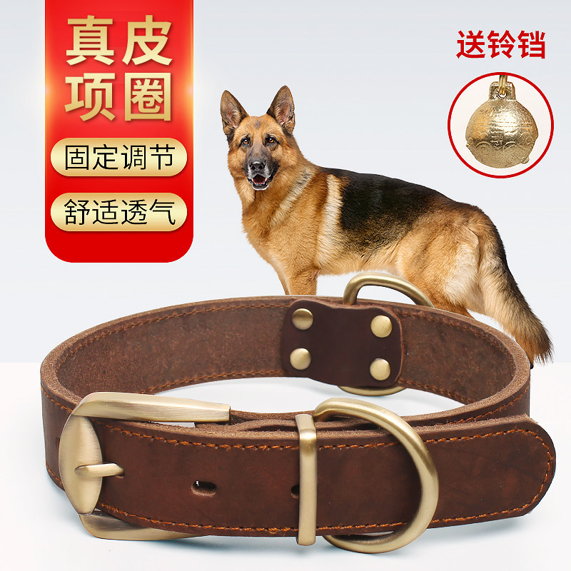 头层真牛皮狗狗项圈百爱吉图片