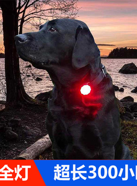 遛狗灯狗狗夜行灯狗狗夜间防丢失灯发光吊坠LED爆闪灯闪光发光灯