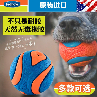 petmate进口狗狗玩具球