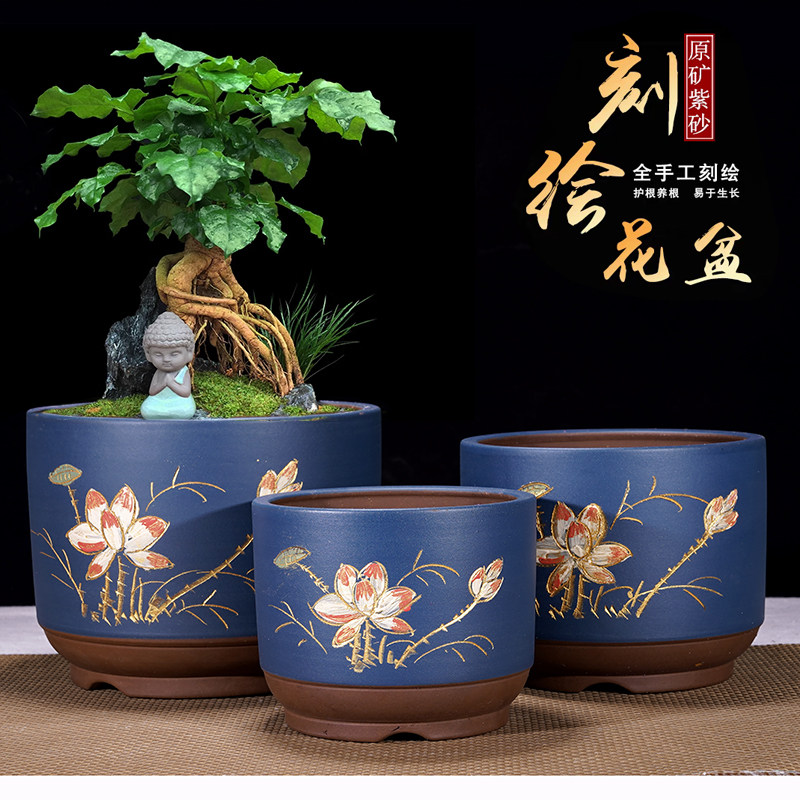 紫砂花盆悬崖式圆柱桶形盆君子兰花卉绿植室内简约特价大号陶瓷盆,鲜花速递/花卉仿真/绿植园艺,花盆,淘宝优惠券,粉丝福利购,淘宝优惠卷