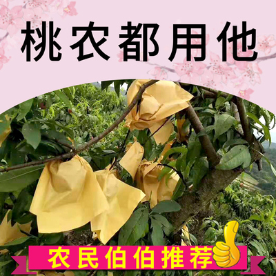 桃子套袋果袋桃袋保护果子