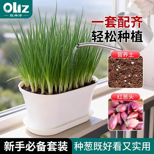 欧林泽阳台种菜盆含土发芽神器