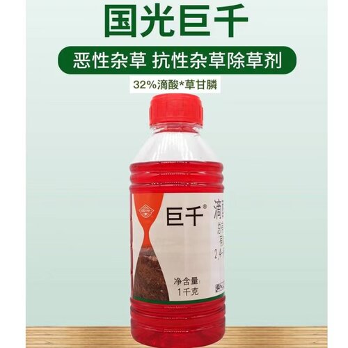 国光巨千草甘膦灭生性除草剂烂根