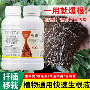 国光生根粉多灵菌快速扦插移栽植物生根液剂通用月季爆发根盼专用