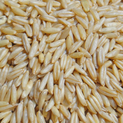 燕麦米雀麦野麦生燕麦仁虎皮牡丹玄凤中大型鹦鹉鸟食饲料鸟粮食