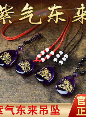 秘术紫气东来辅贵吉瑞吊坠紫水晶招财貔貅项链男女转运皮休