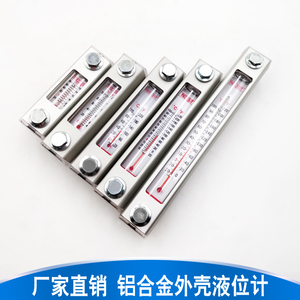 YWZ上海飞泰水位计油标