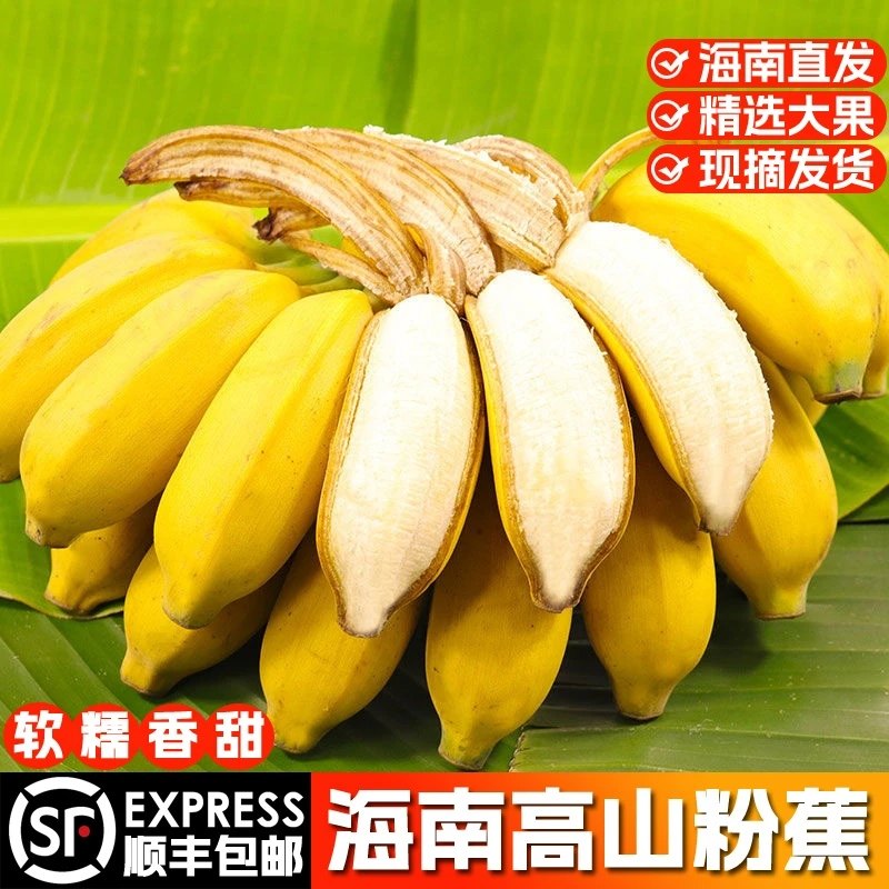 海南高山粉蕉热带孕妇当季新鲜水果香甜软糯香蕉产地直发顺丰包邮,水产肉类/新鲜蔬果/熟食,香蕉,淘宝优惠券,粉丝福利购,淘宝优惠卷