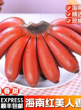海南红香蕉软糯香甜咖啡红皮香蕉