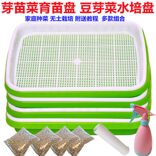 育苗盘衙水培蔬菜无土栽培