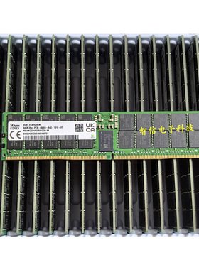 SK海力士DDR5 EC8 RDIMM HMCG94MEBRA 64G PC5-4800B ECC REG内存