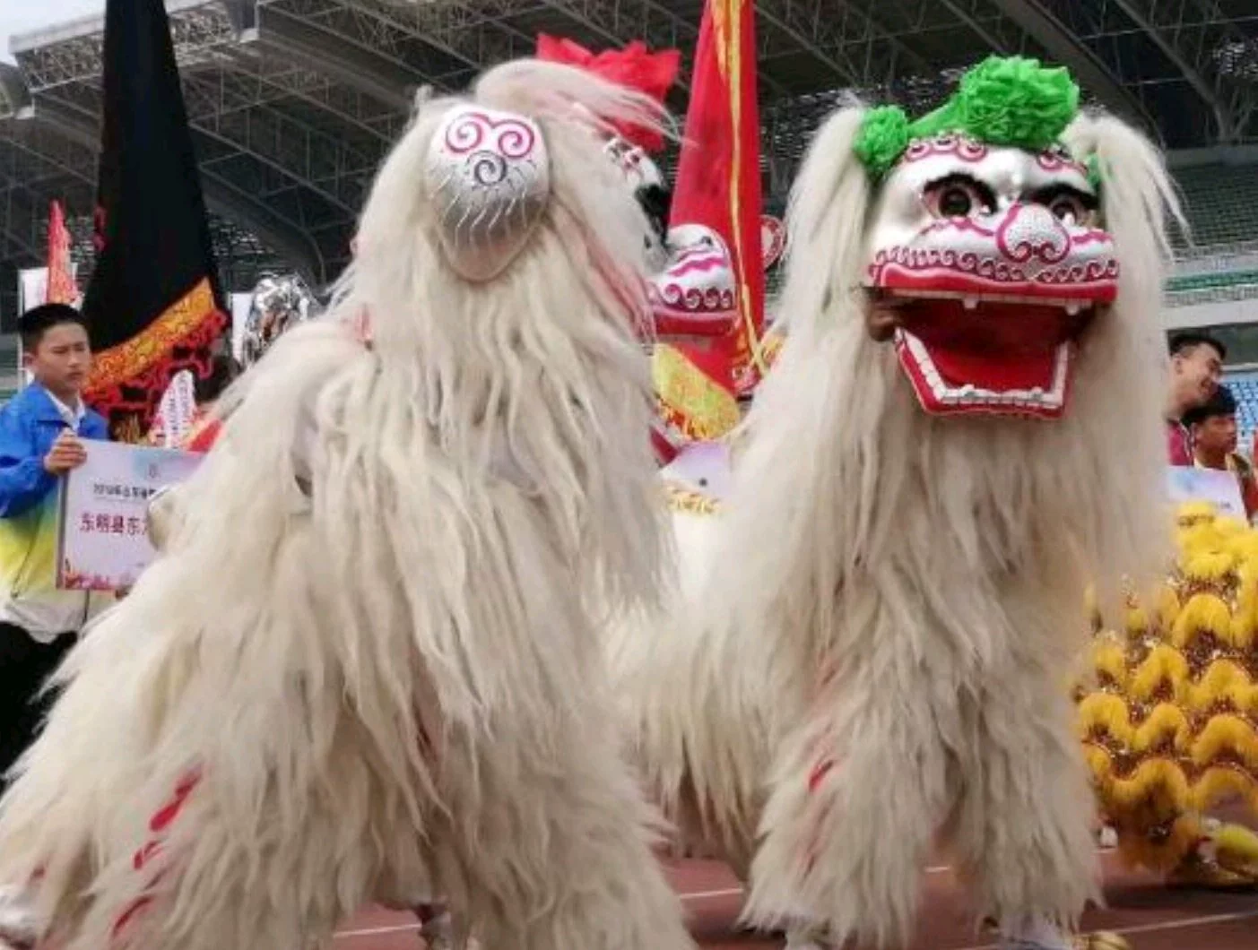 舞狮道具网红小白狮祭拜白狮成人款牦牛舞狮整套牛毛双人北狮狮皮