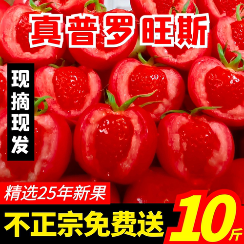 普罗旺斯西红柿9斤孕妇水果当季沙瓤柿子新鲜生吃番茄非陕西泾阳