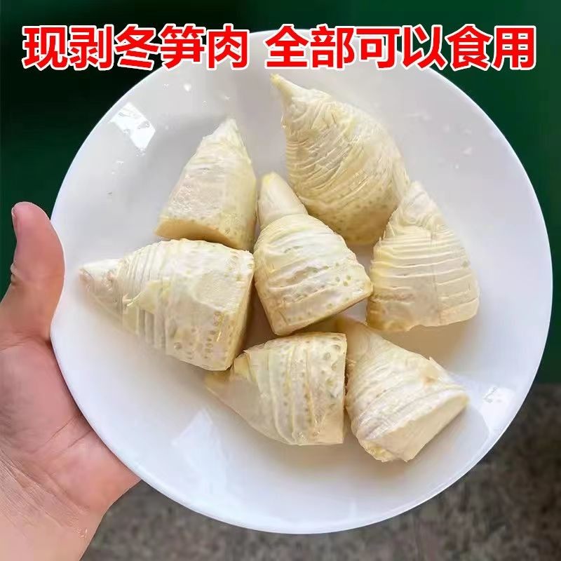 去壳冬笋肉现挖生冬笋肉新鲜竹笋火锅笋楠竹甜笋鲜笋野生冬笋笋尖