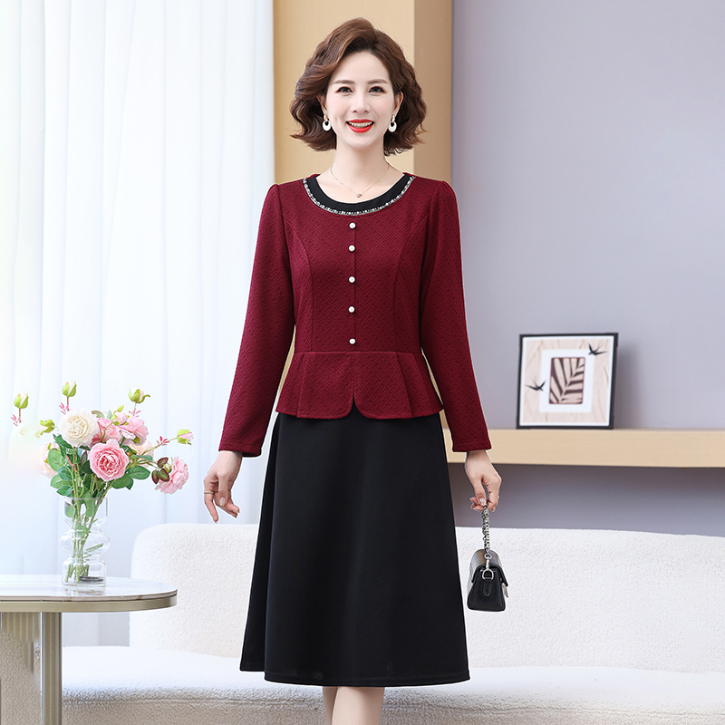 女士新款时尚假两件套装裙子